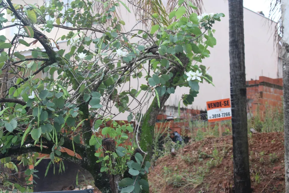 Terreno, 125 m² - Foto 4