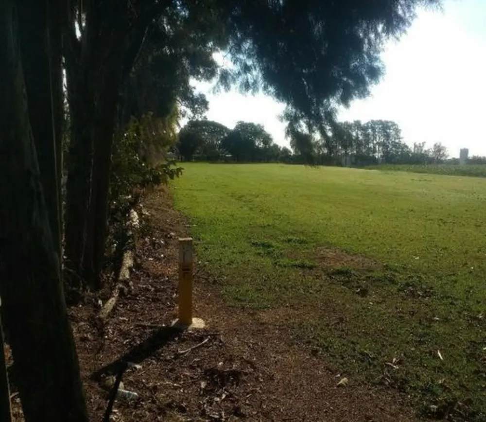 Terreno, 10 hectares - Foto 2