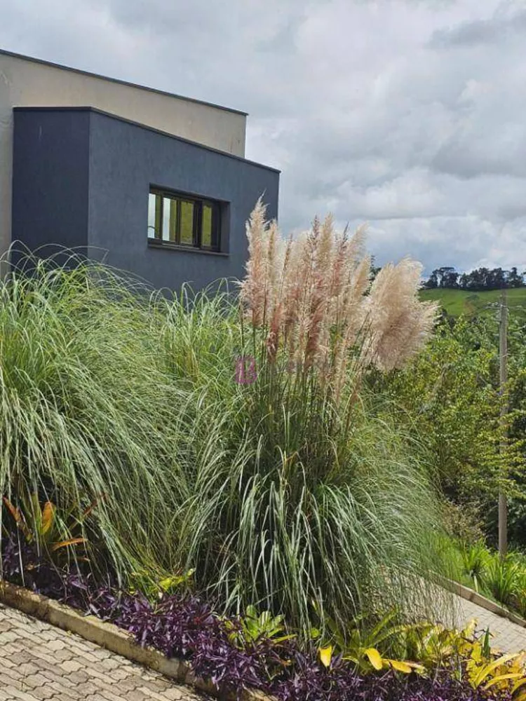 Casa, 3 quartos, 419 m² - Foto 31