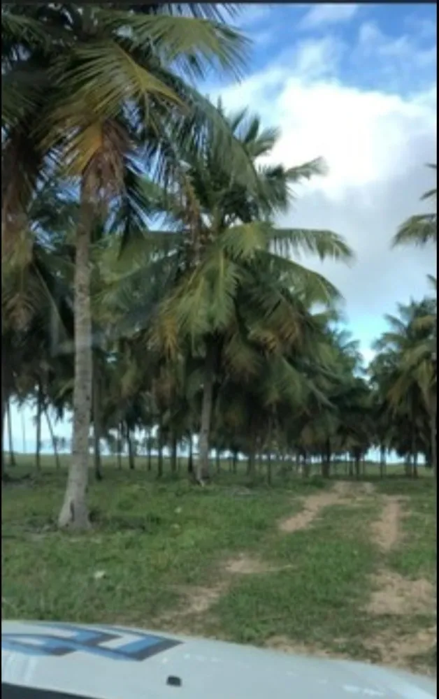 Terreno, 10000 m² - Foto 6