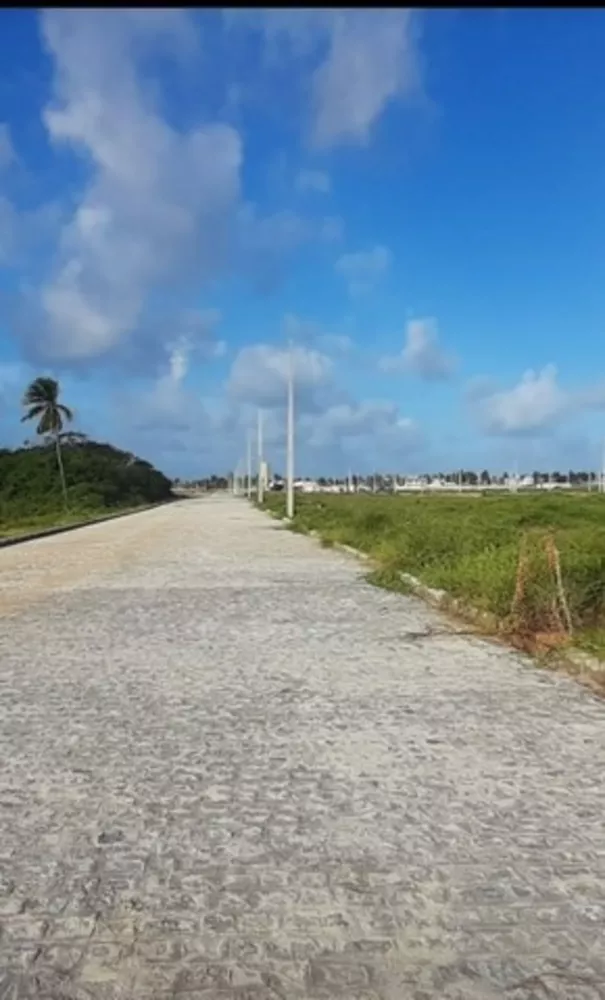 Terreno, 10000 m² - Foto 3