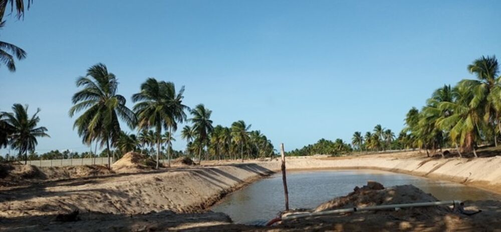 Terreno, 293 m² - Foto 1