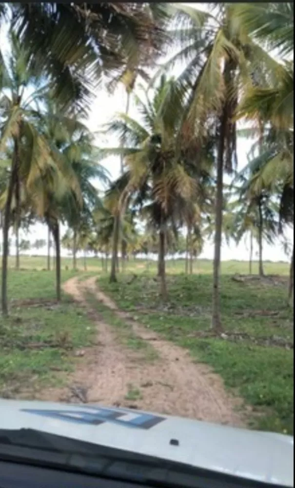 Terreno, 2 hectares - Foto 12