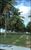 Terreno, 2 hectares - Foto 4