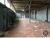 Loja-Salão, 570 m² - Foto 5