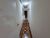 Apartamento, 2 quartos, 82 m² - Foto 2