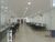 Sala-Conjunto, 330 m² - Foto 10