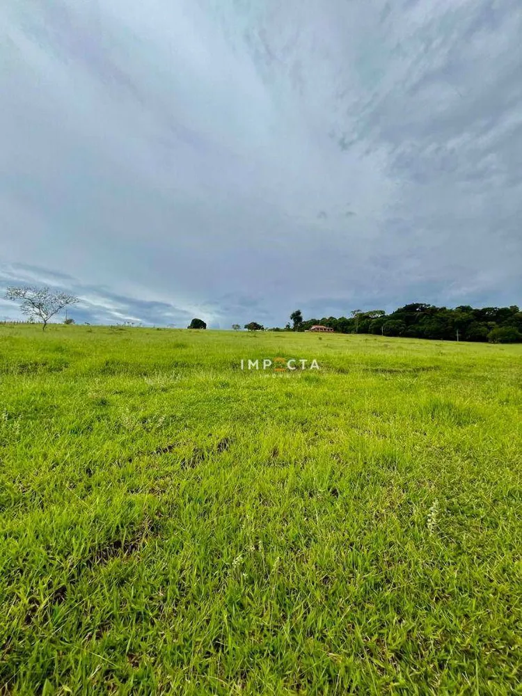 Sítio, 2 quartos, 10 hectares - Foto 1