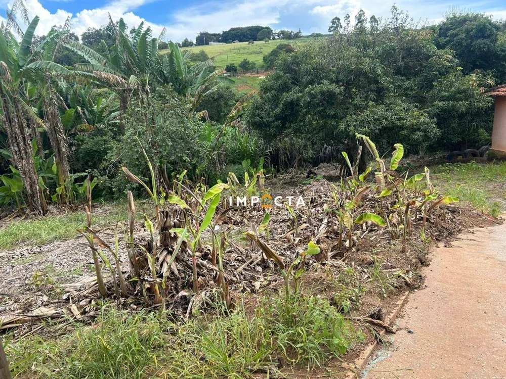 Chácara, 4 quartos, 1000 m² - Foto 2
