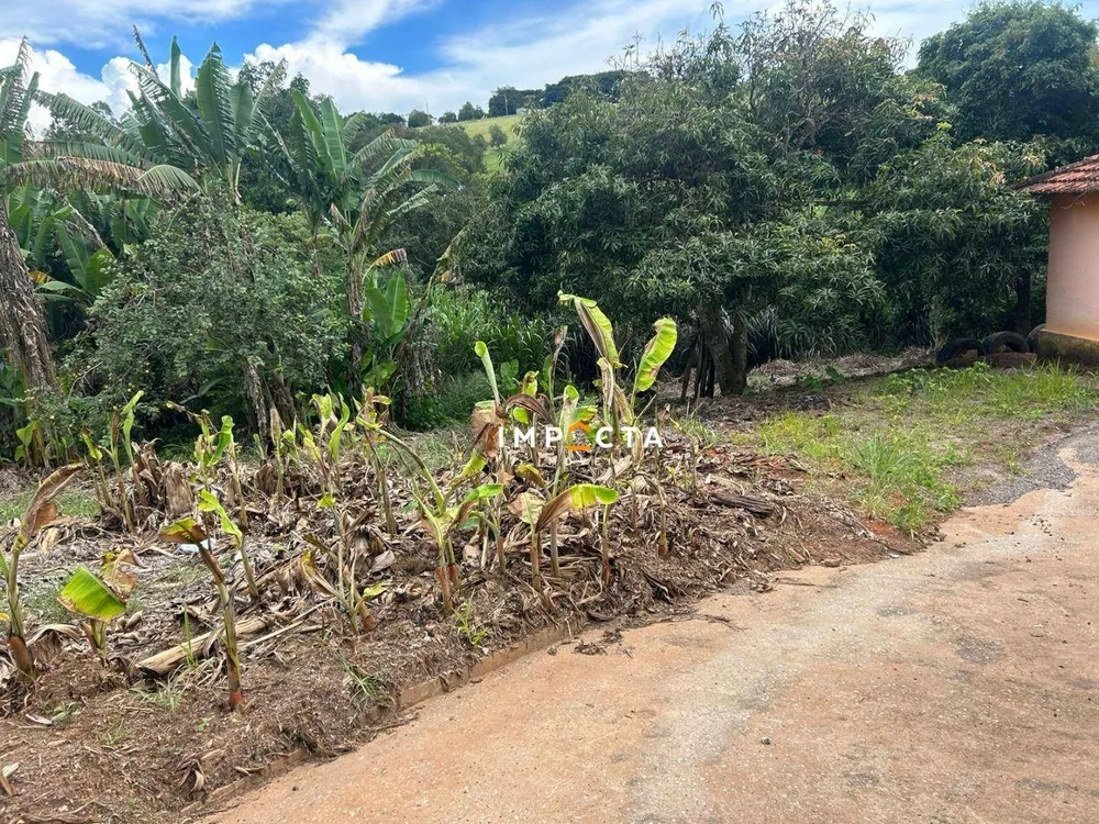 Chácara, 4 quartos, 1000 m² - Foto 4
