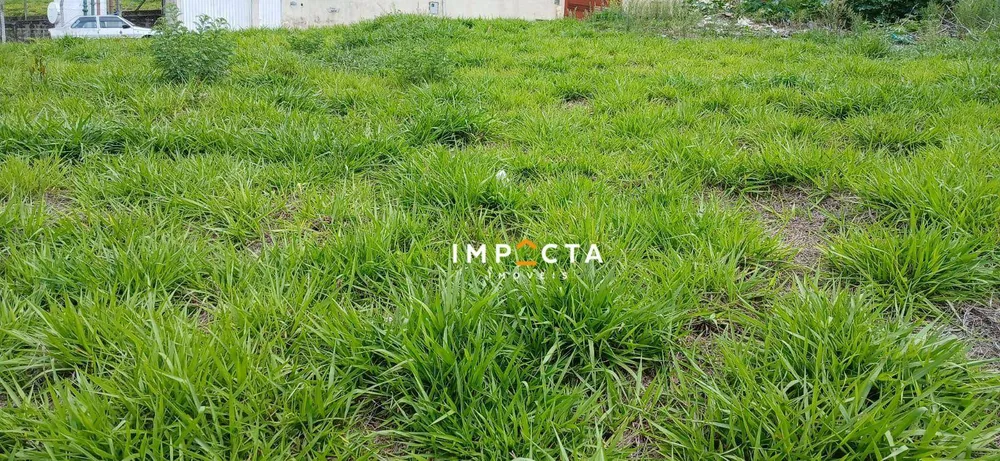 Terreno, 1000 m² - Foto 3