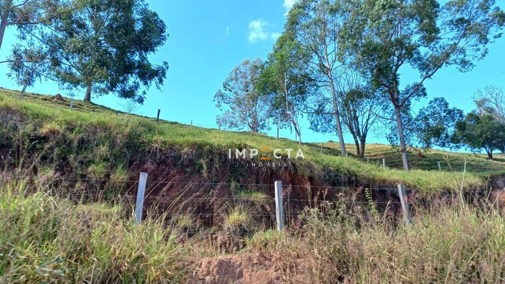 Sítio, 3 quartos, 8 hectares - Foto 6