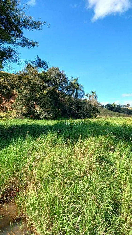 Sítio, 3 quartos, 8 hectares - Foto 4