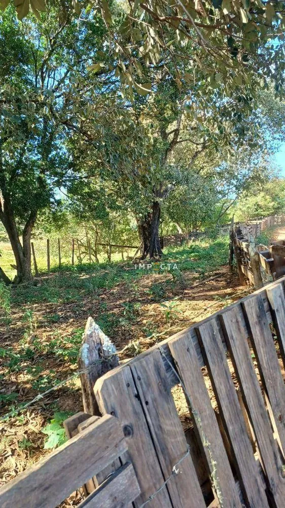 Sítio, 3 quartos, 8 hectares - Foto 3