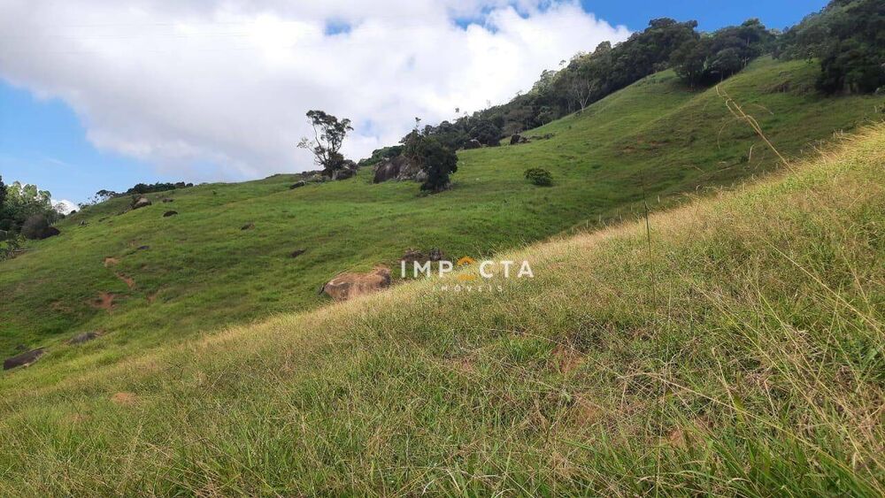 Sítio à venda com 3 quartos, 240000M2 - Foto 3