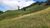 Sítio, 3 quartos, 24 hectares - Foto 3
