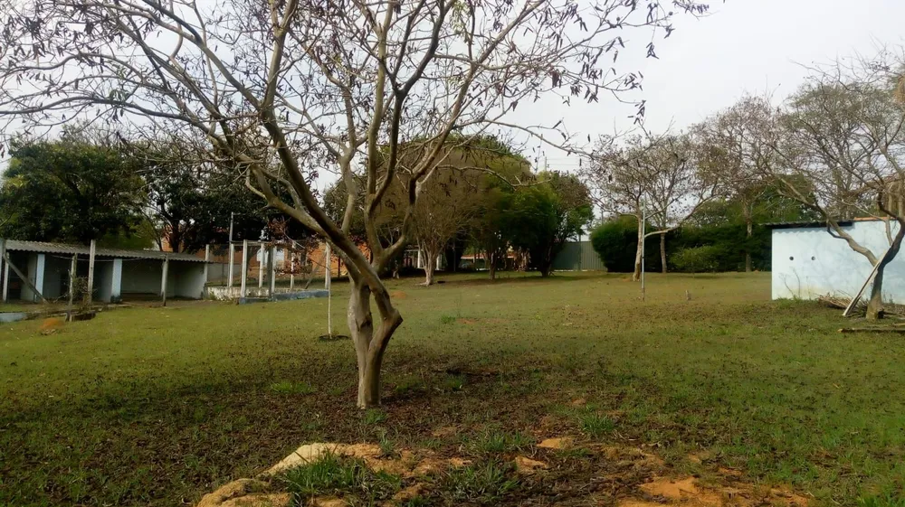 Chácara, 2 quartos, 3000 m² - Foto 4
