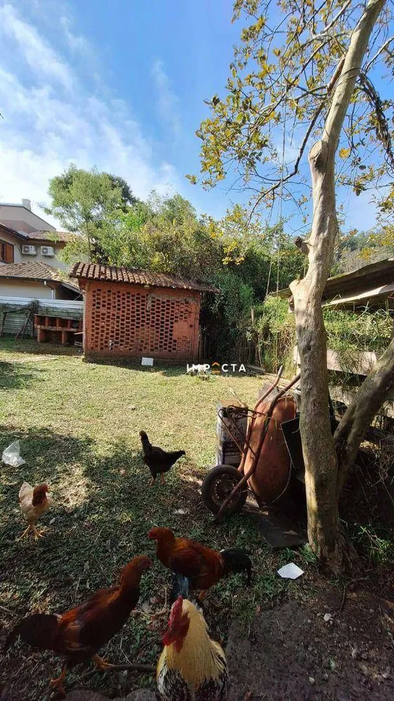 Chácara, 2 quartos, 2890 m² - Foto 5