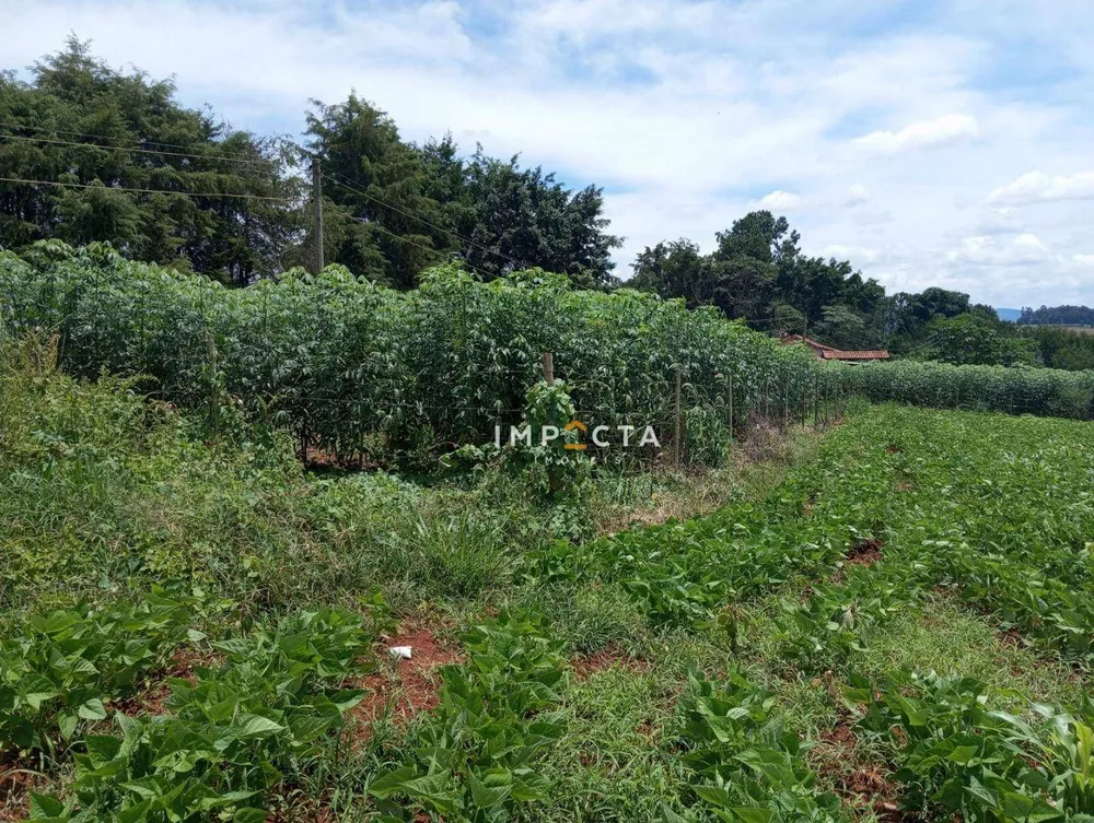 Terreno, 1000 m² - Foto 3