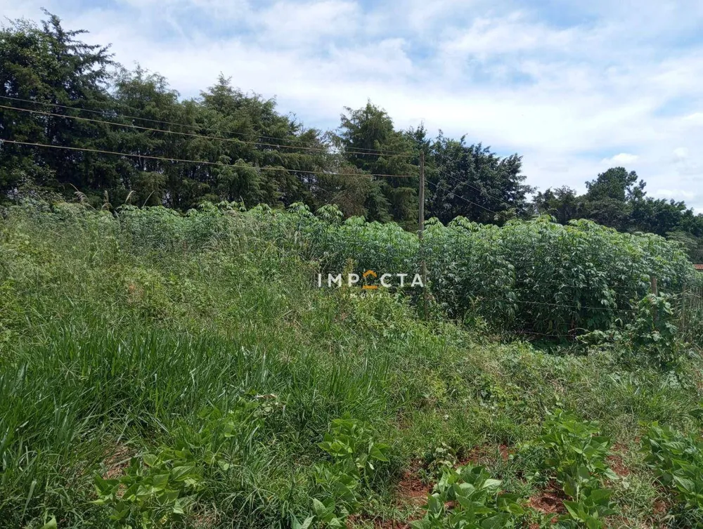 Terreno, 1000 m² - Foto 2