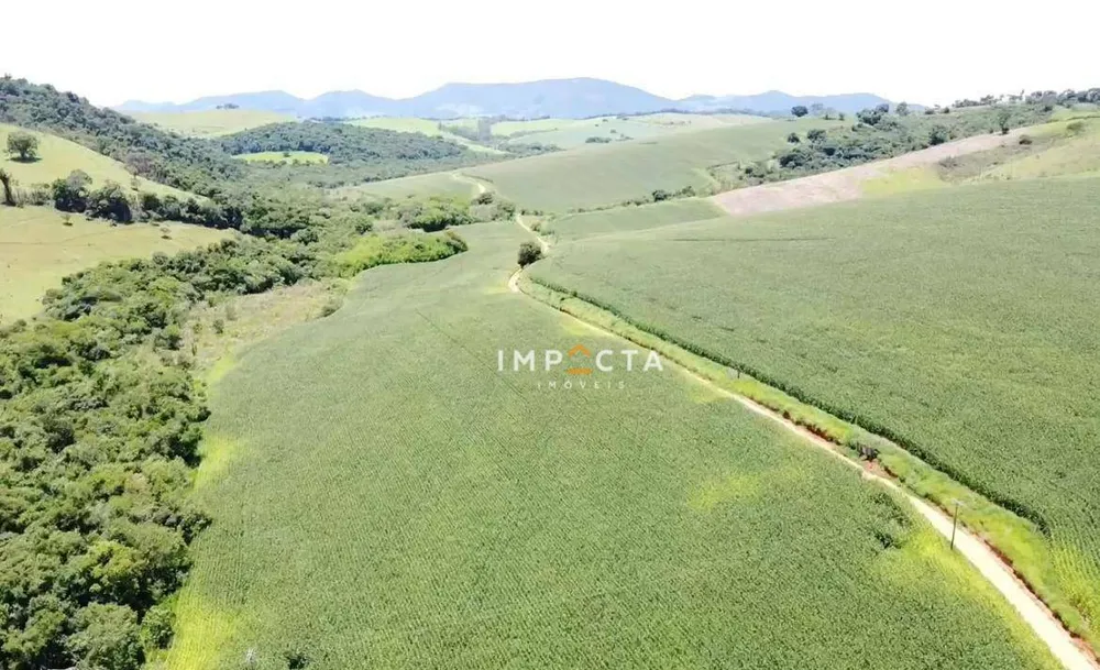 Terreno, 160 hectares - Foto 1