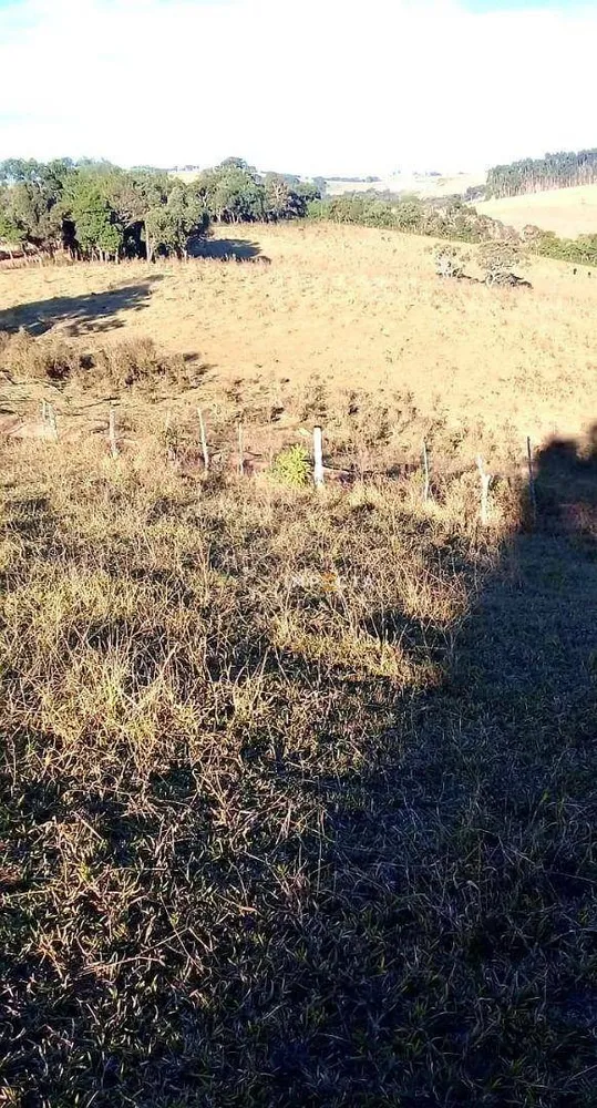 Fazenda, 68 hectares - Foto 7