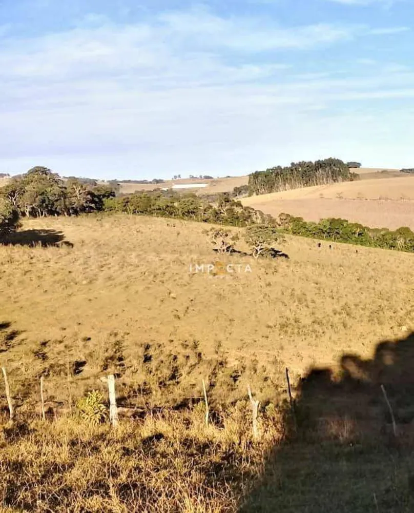 Fazenda, 68 hectares - Foto 8