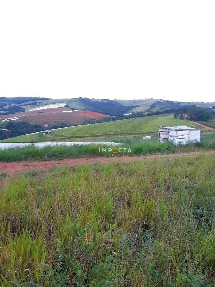 Fazenda, 68 hectares - Foto 1