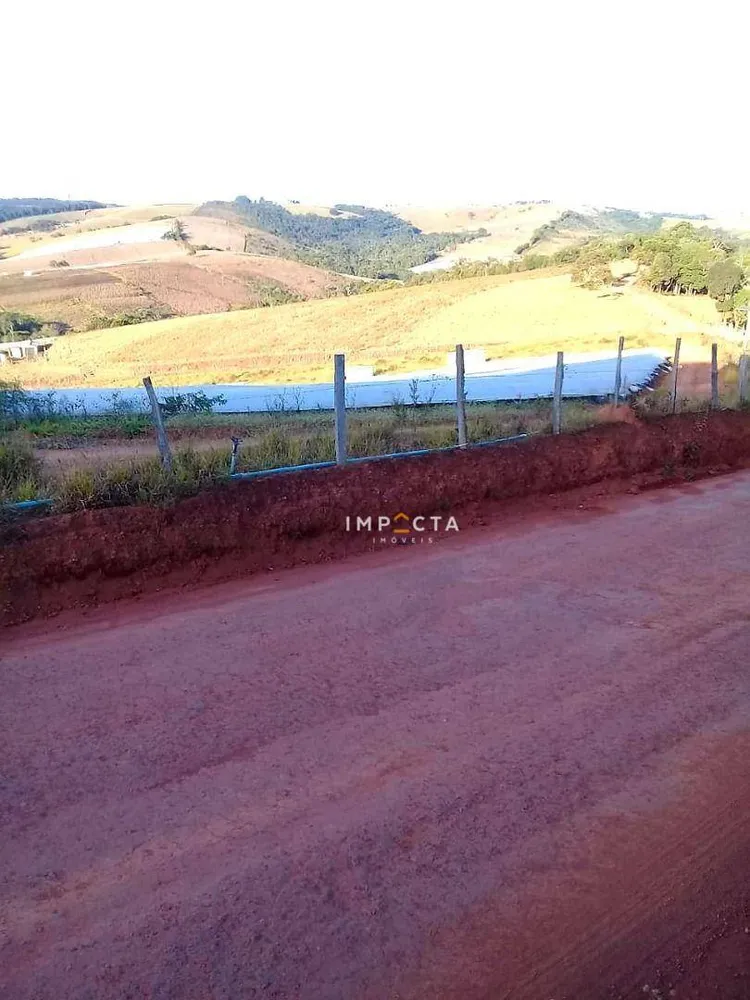 Fazenda, 68 hectares - Foto 6