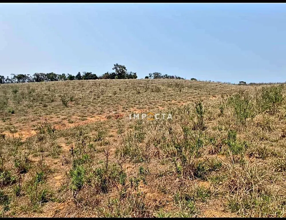Fazenda, 68 hectares - Foto 3