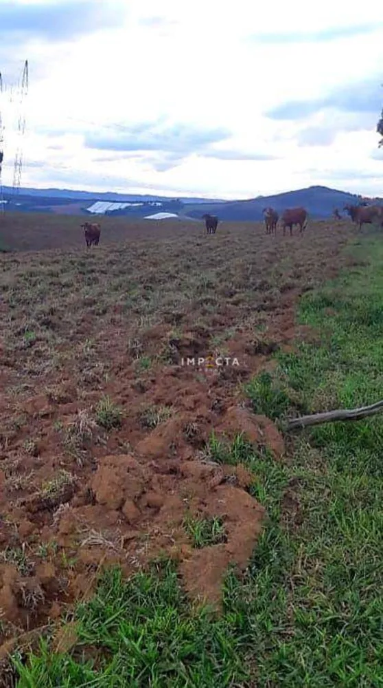 Fazenda, 68 hectares - Foto 5