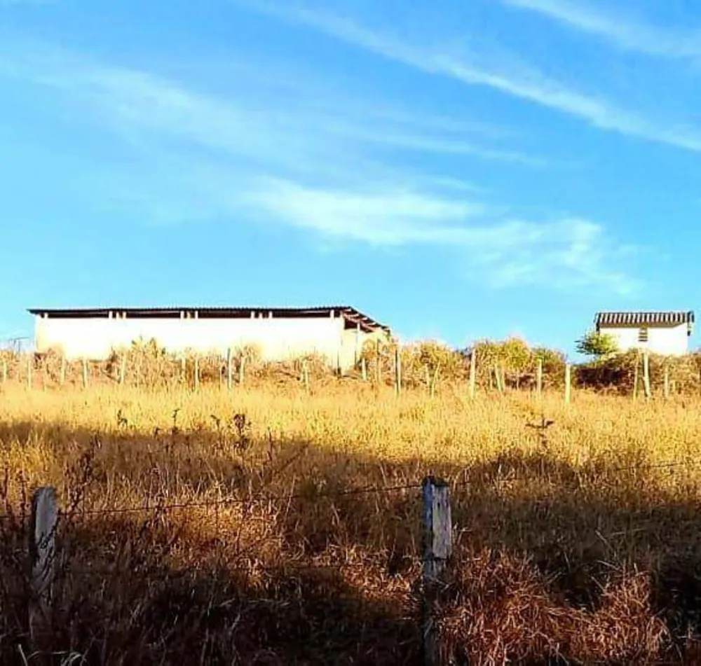 Fazenda, 68 hectares - Foto 4