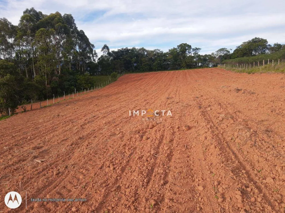 Terreno, 2 hectares - Foto 4