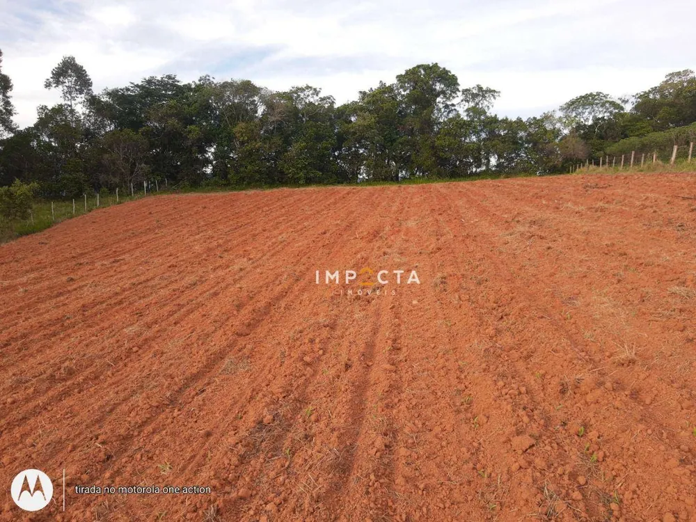Terreno, 2 hectares - Foto 6