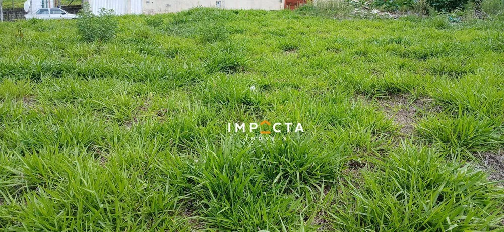 Terreno, 250 m² - Foto 1