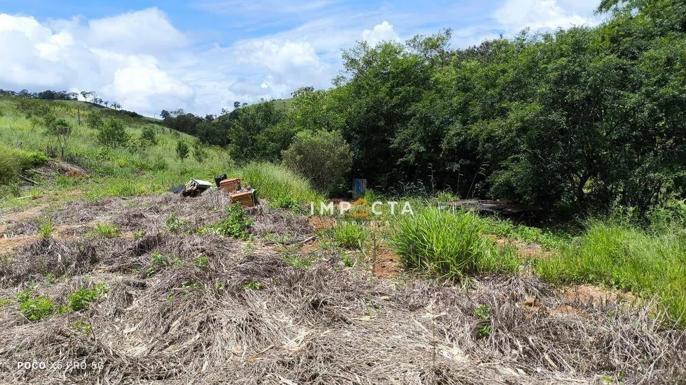 Terreno, 2 hectares - Foto 2