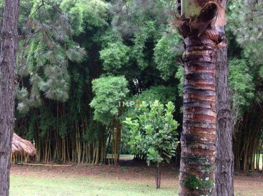 Sítio, 5 quartos, 43 hectares - Foto 2