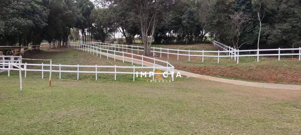 Sítio, 2 quartos, 6 hectares - Foto 1