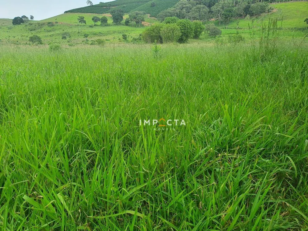 Fazenda, 494 hectares - Foto 2