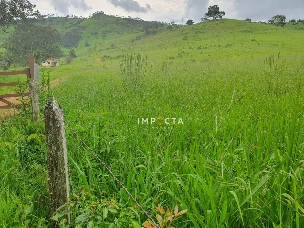 Fazenda, 494 hectares - Foto 5