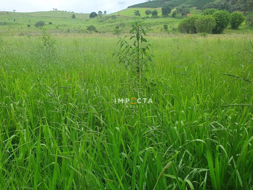 Fazenda, 494 hectares - Foto 4
