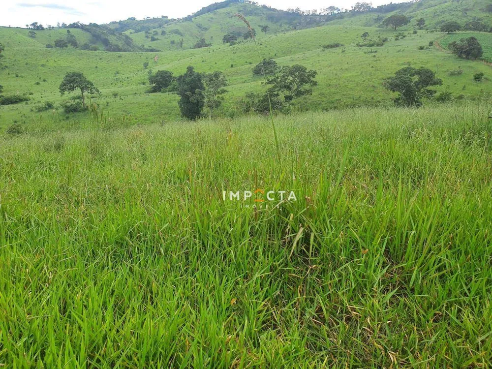 Fazenda, 494 hectares - Foto 8