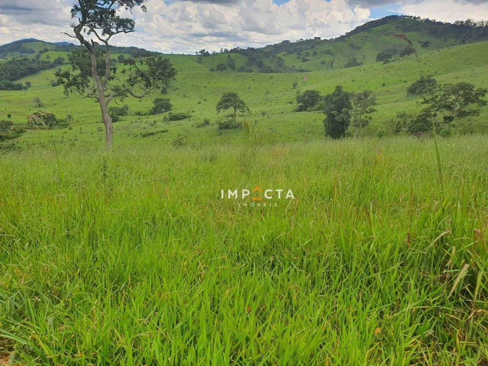 Fazenda, 494 hectares - Foto 7