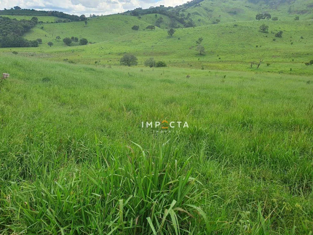 Fazenda, 494 hectares - Foto 6
