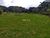 Terreno, 4000 m² - Foto 3
