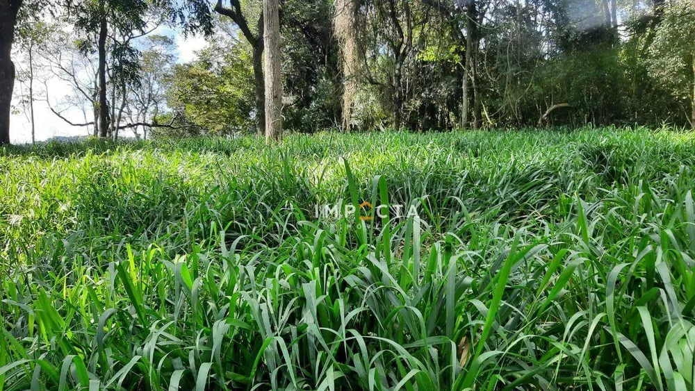 Sítio, 3 quartos, 24 hectares - Foto 6