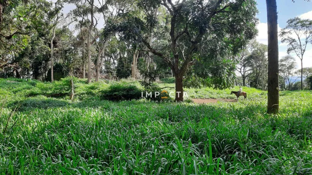 Sítio, 3 quartos, 24 hectares - Foto 4