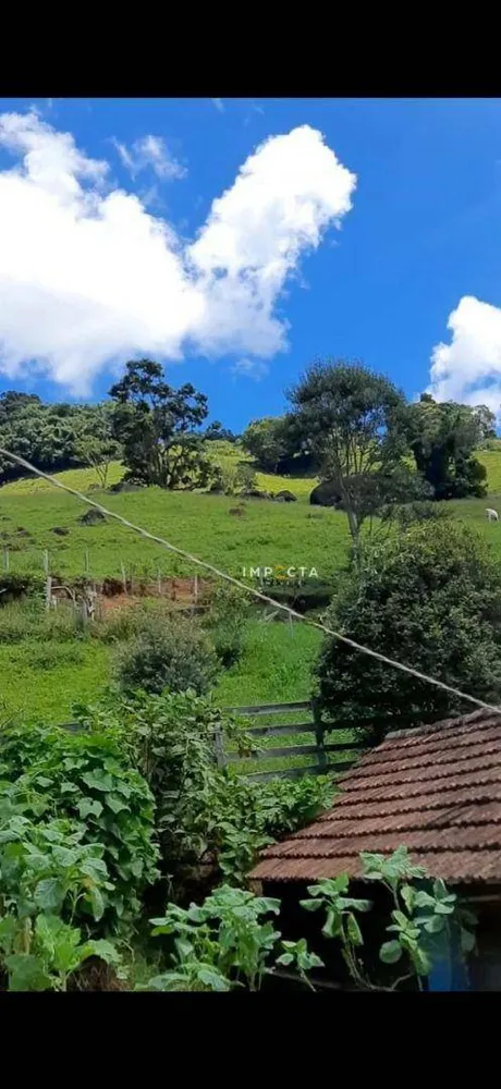 Sítio, 3 quartos, 24 hectares - Foto 8