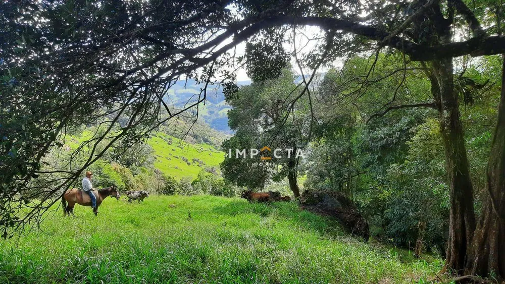 Sítio, 3 quartos, 24 hectares - Foto 2