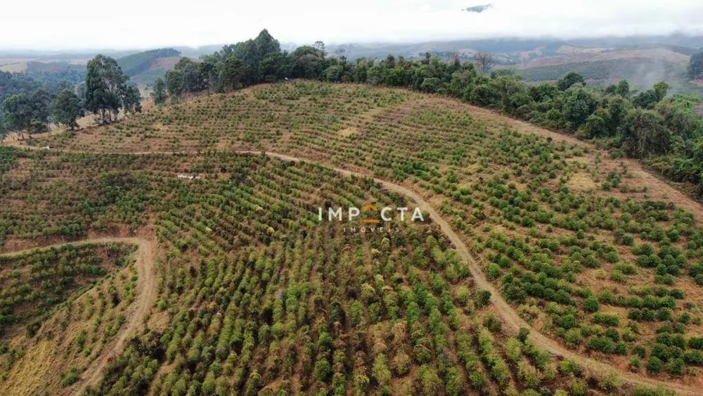 Fazenda, 428 hectares - Foto 4